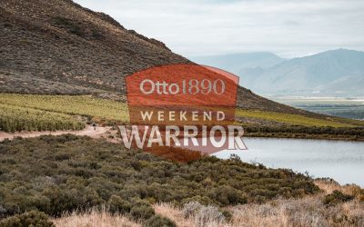 Wealth Meets Wellness: Weekend Warrior Announces Landmark Partnership with Otto1890